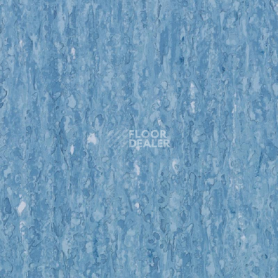 Линолеум Tarkett iq Optima Medium blue 0857 фото 1 | FLOORDEALER